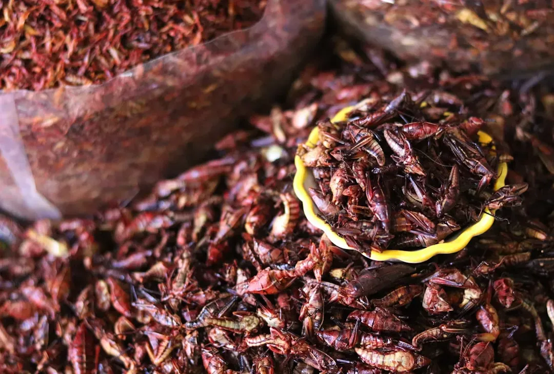 Insects as Protein or a Hard Pass (Image Credits: Unsplash)