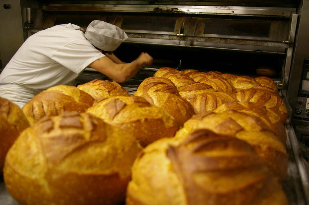 Conclusion: Artisan Bread as a Culinary Status Symbol (image credits: rawpixel)