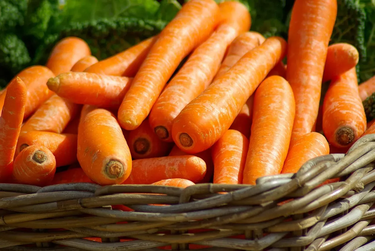Carrots: The Fading Orange Heroes (Image Credits: Pixabay)