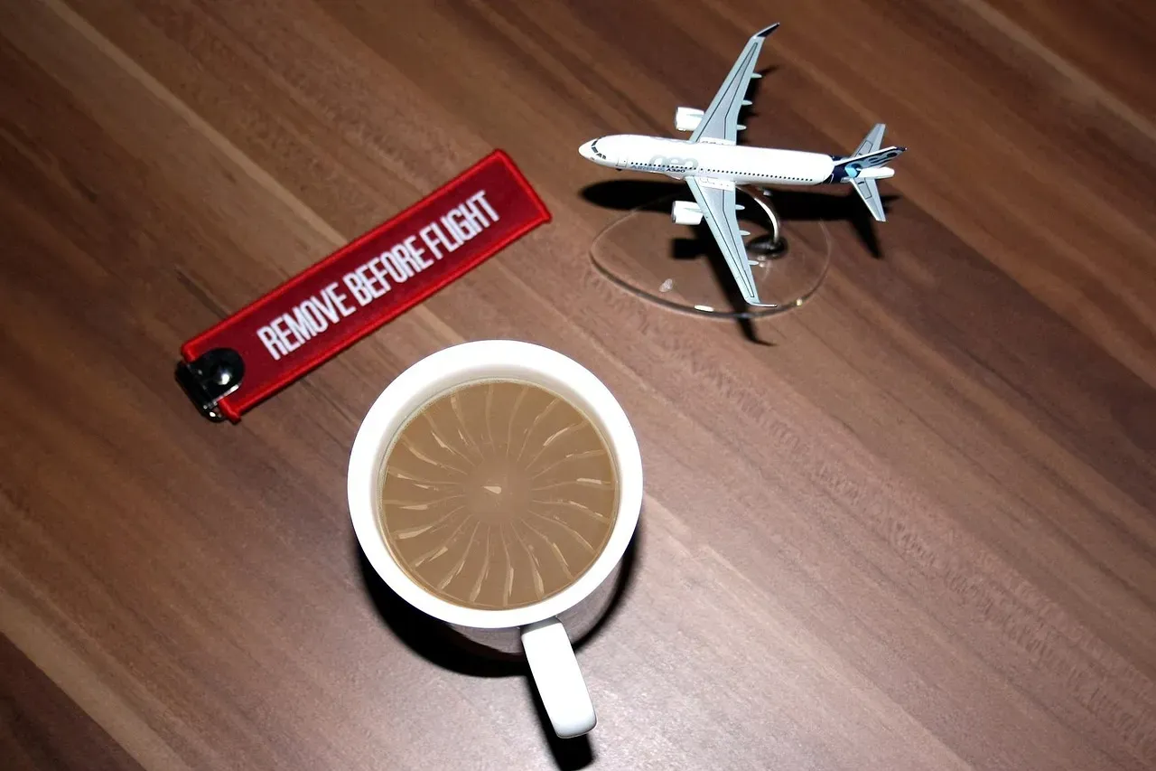 The Decaf Logic: Why It's Specifically Absurd at 30,000 Feet (Image Credits: Pixabay)