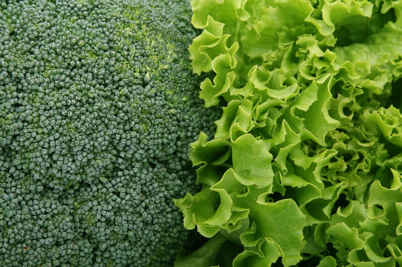 Leafy Greens: Nutrient-Dense Defenders (image credits: pixabay)