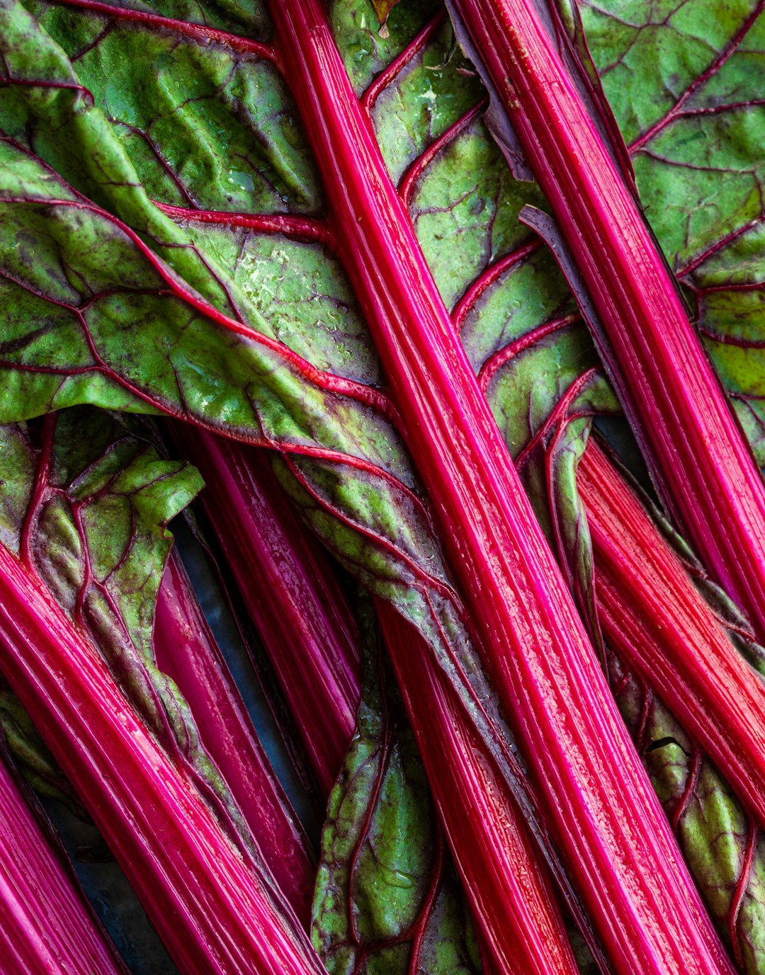 Rhubarb: A Tart, Calcium-Packed Surprise (image credits: unsplash)