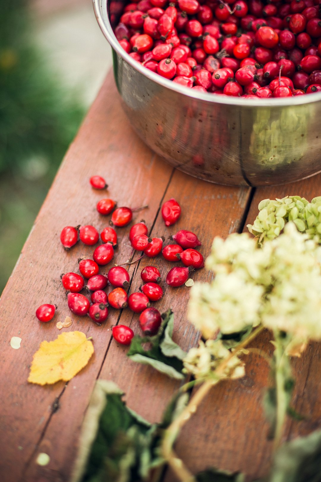 Goji Berries: The Ancient Superfood (image credits: unsplash)