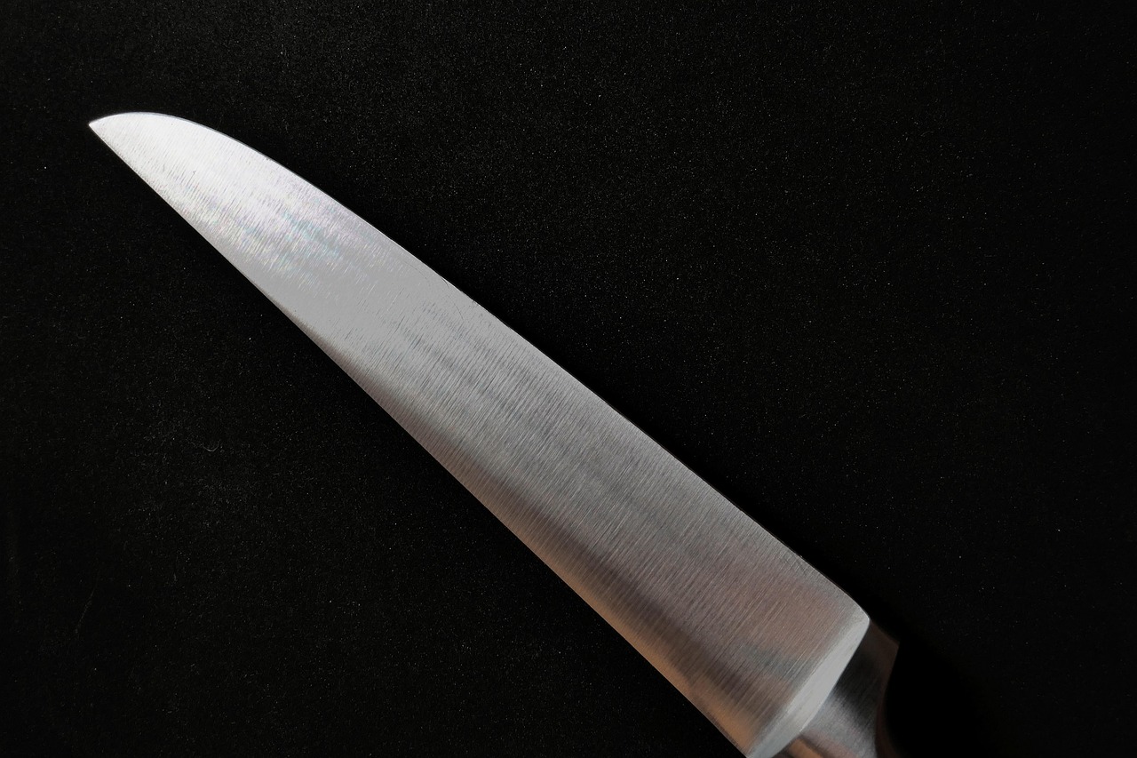 Using Dull or Dirty Knives (image credits: pixabay)
