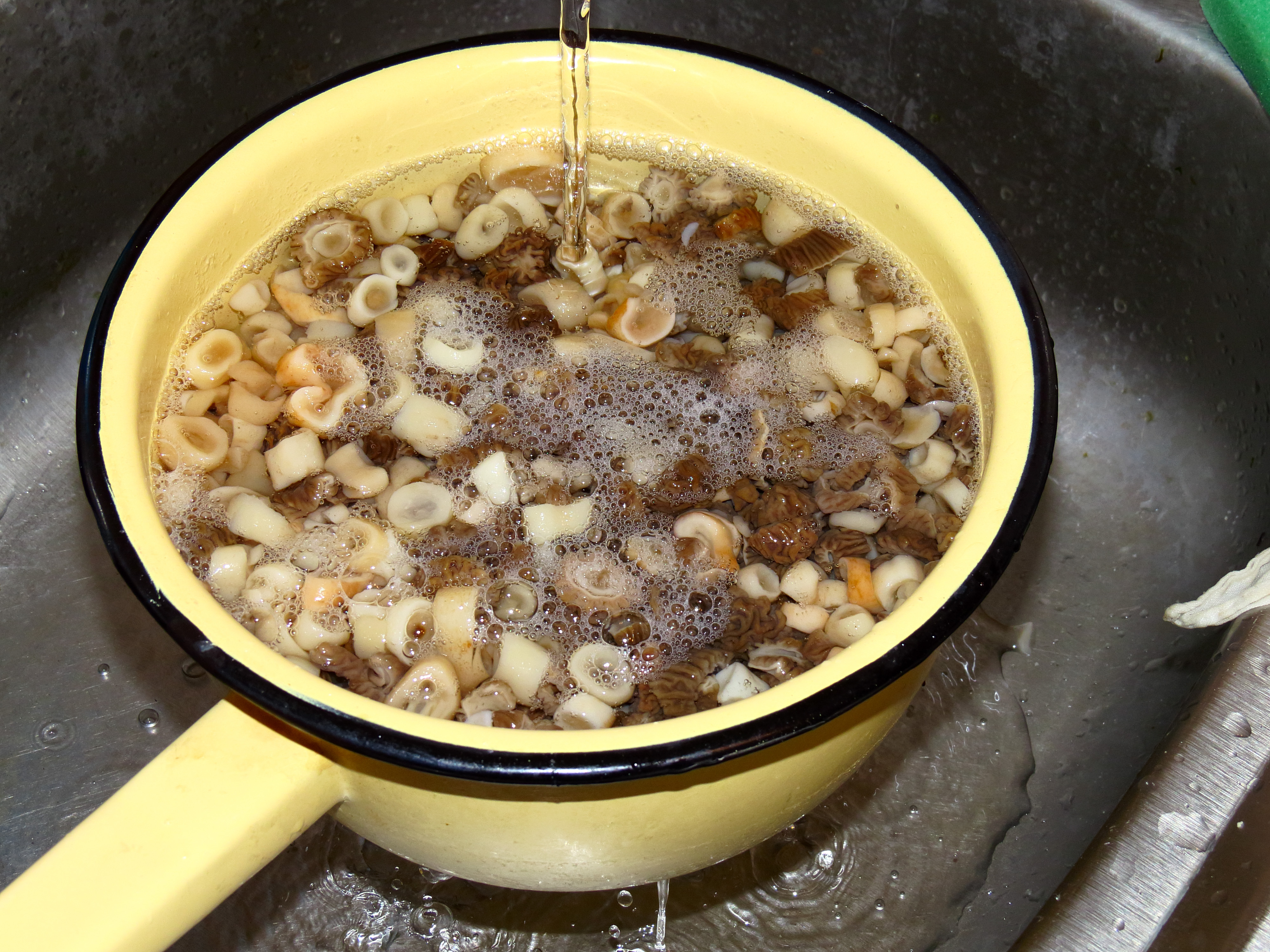 Never Wash Mushrooms Because They'll Get Soggy (Image Credits: Wikimedia)