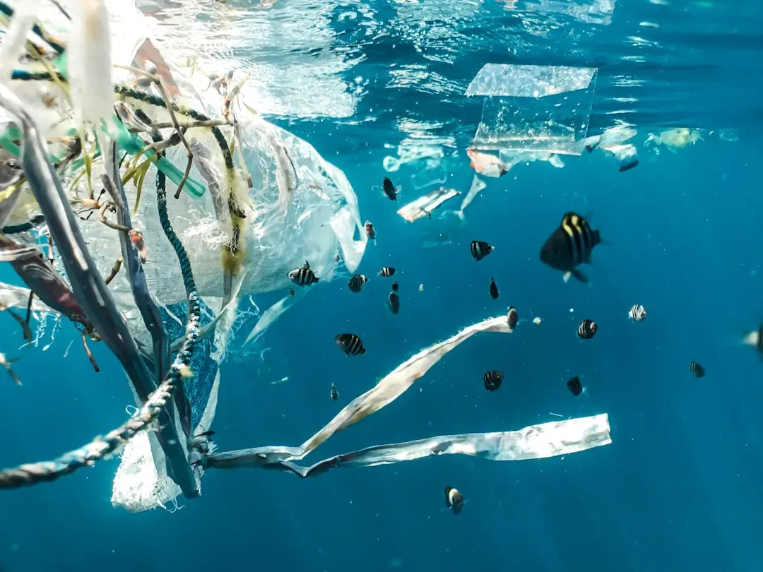 What Microplastics Actually Are (Image Credits: Unsplash)