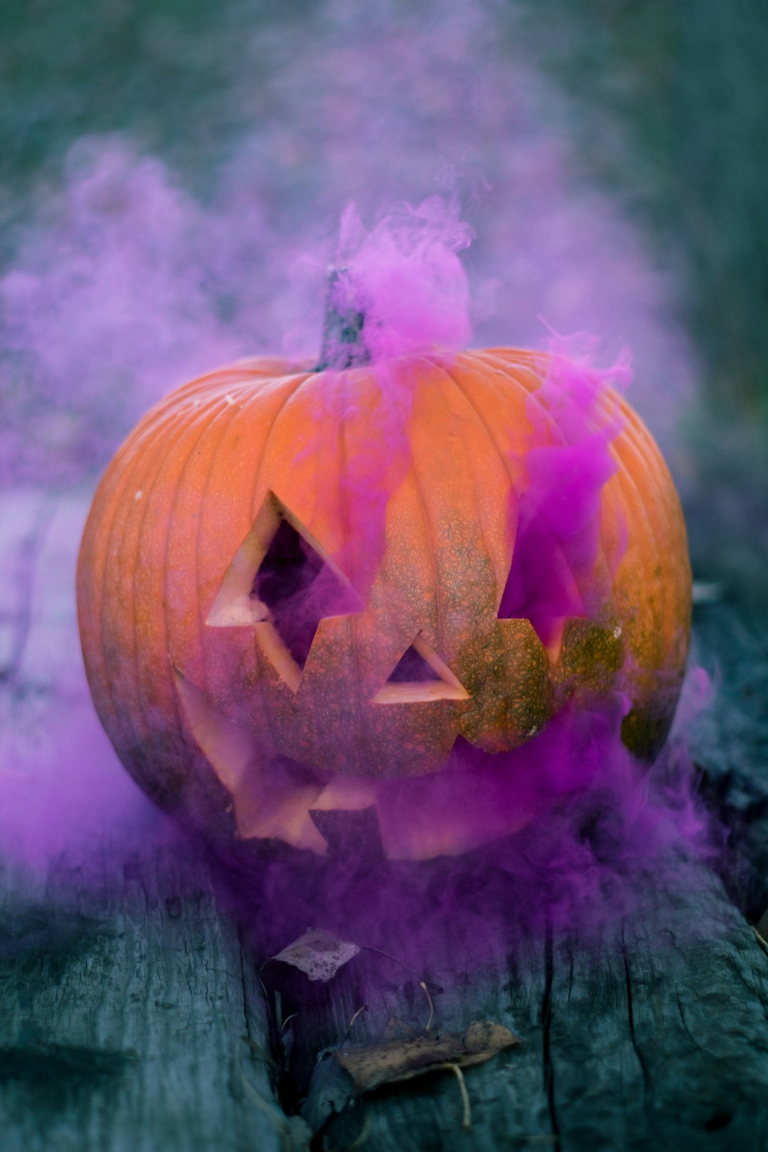 Creating Your Own Purple Pumpkin Display (Image Credits: Unsplash)