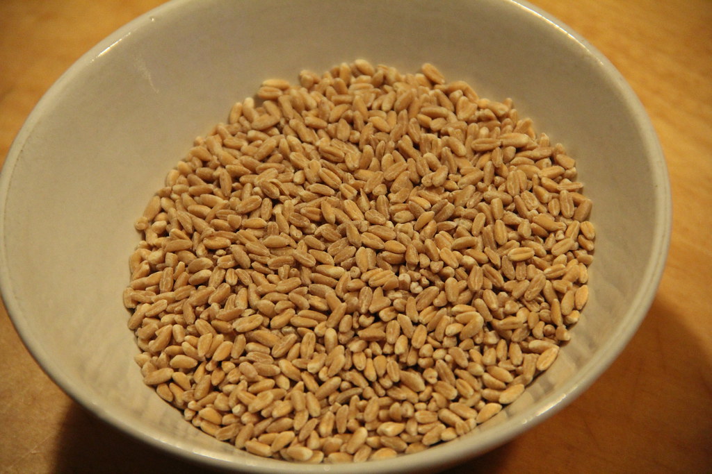 Farro: The Ancient Roman Staple Turning Trendy (image credits: flickr)