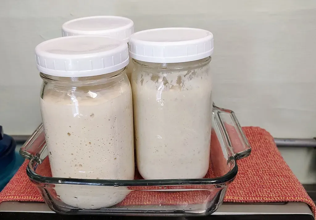 The Science Behind the Sentiment (Image Credits: Flickr)