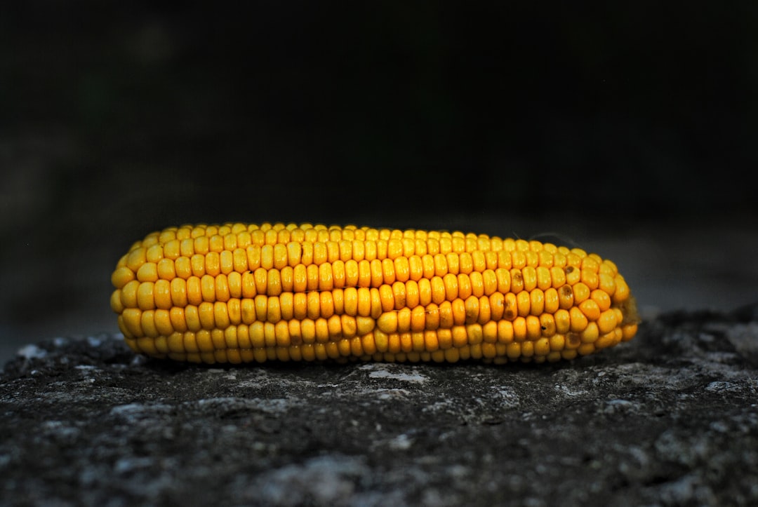 The Genetically Modified Staples (image credits: unsplash)