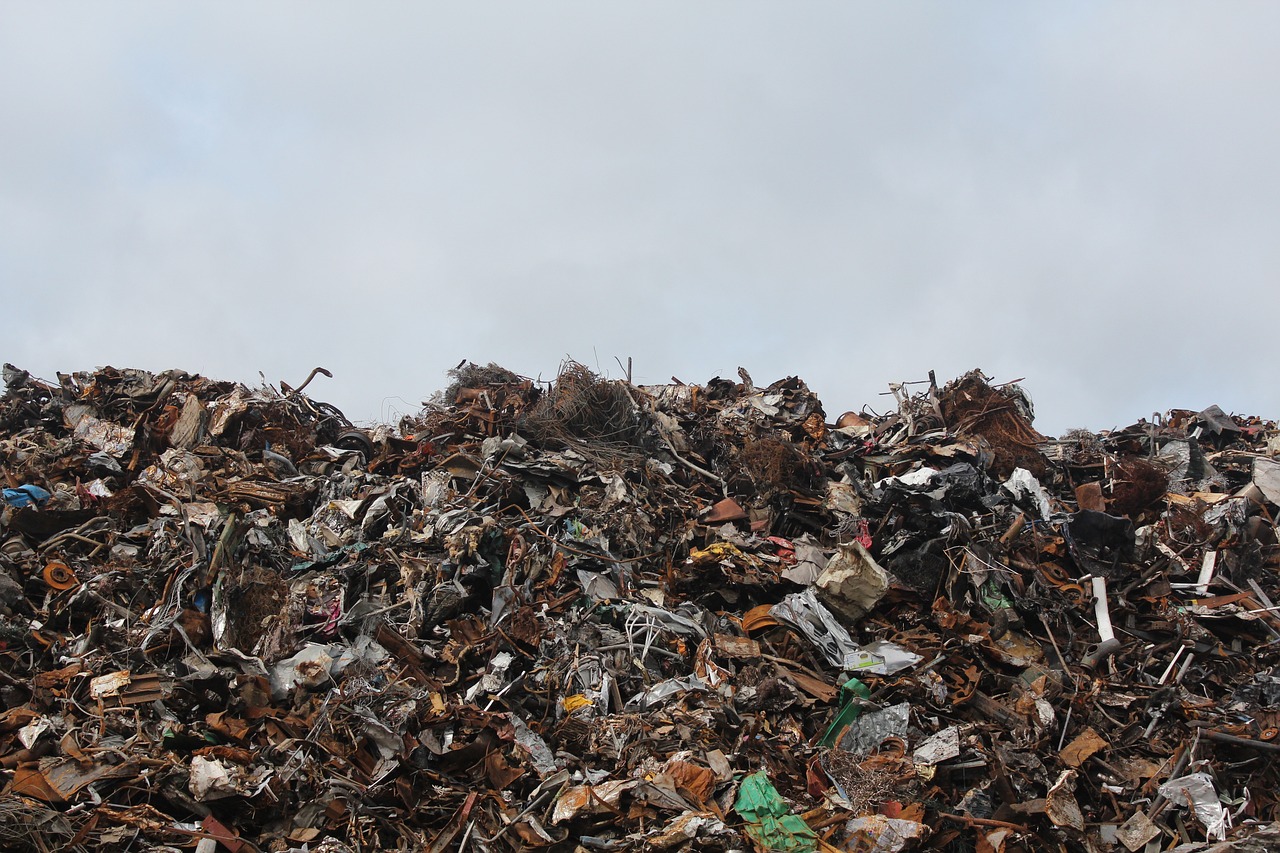 Reducing Food Waste: Smarter Inventory and Production (image credits: pixabay)