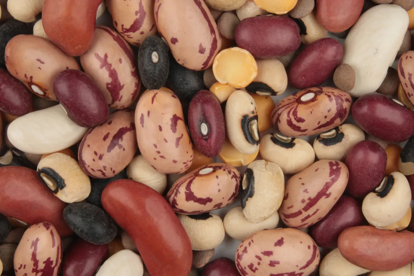 Dried Beans and Lentils (Image Credits: Wikimedia)