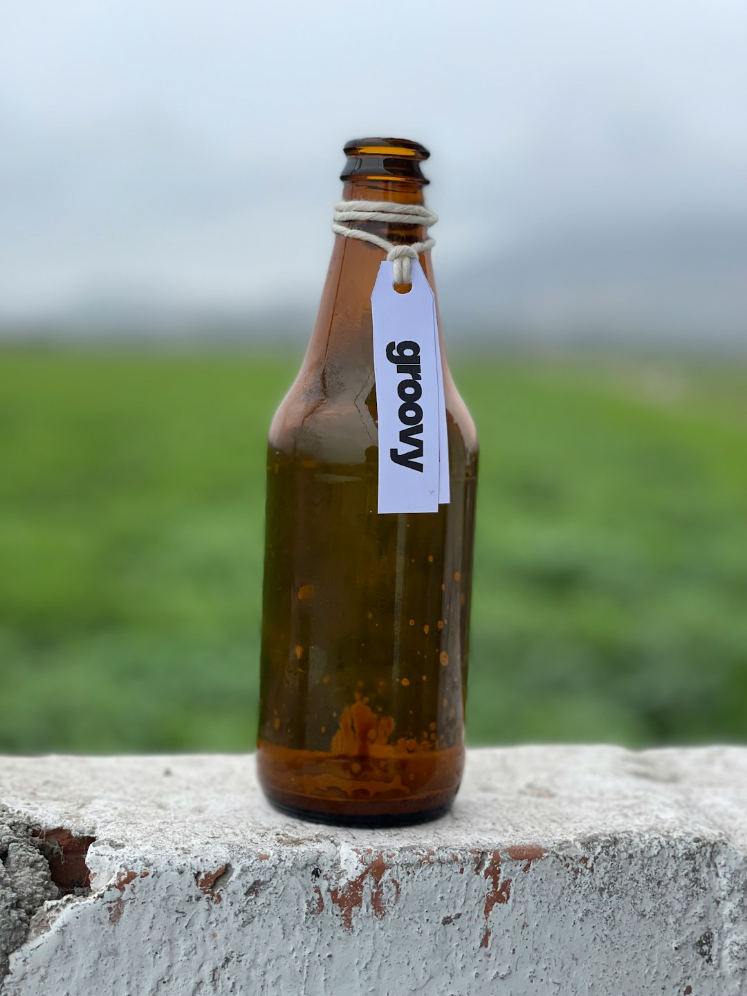 Canola Oil: The Underrated Omega-3 Cooking Companion (image credits: unsplash)