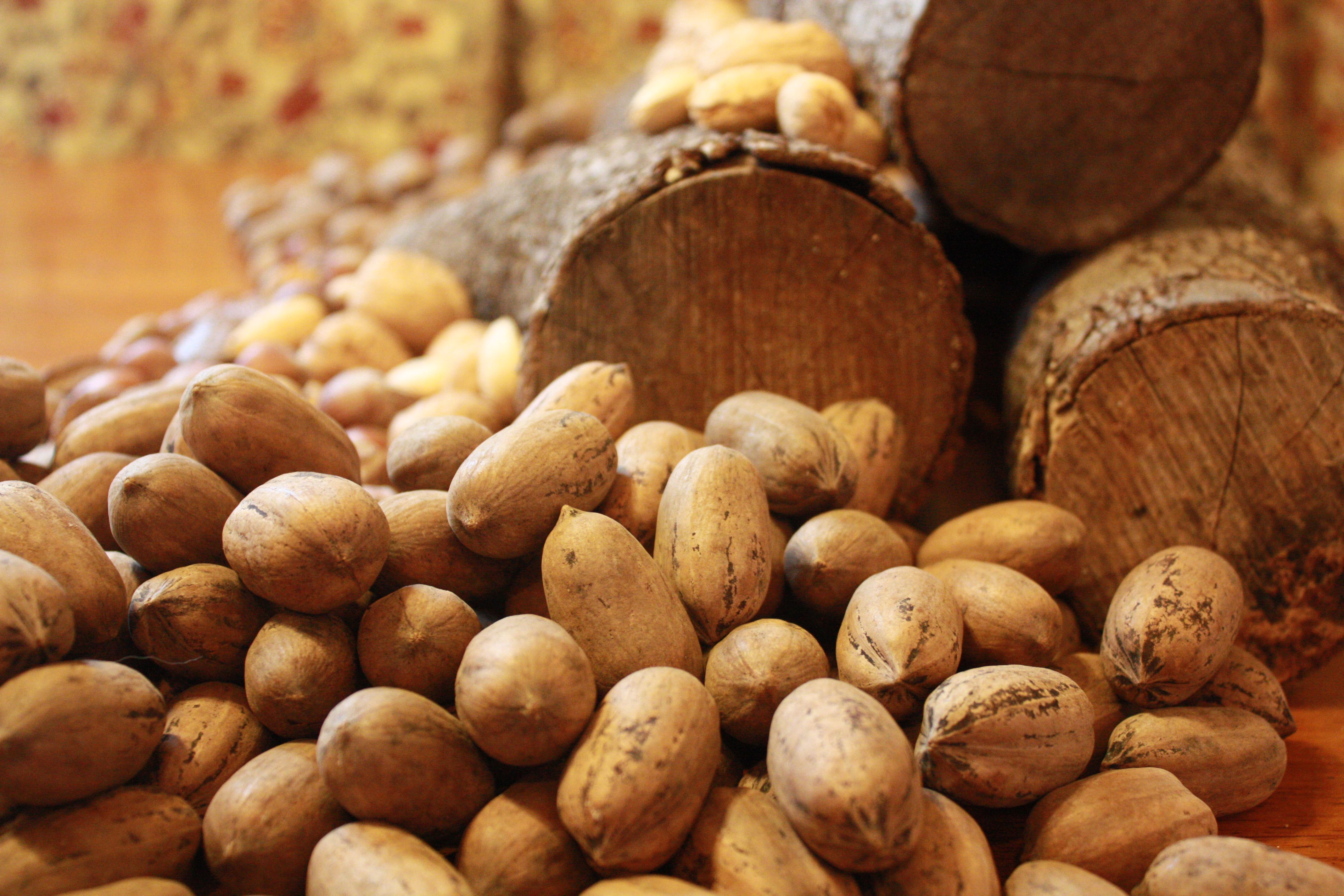 7. Nuts (image credits: wikimedia)