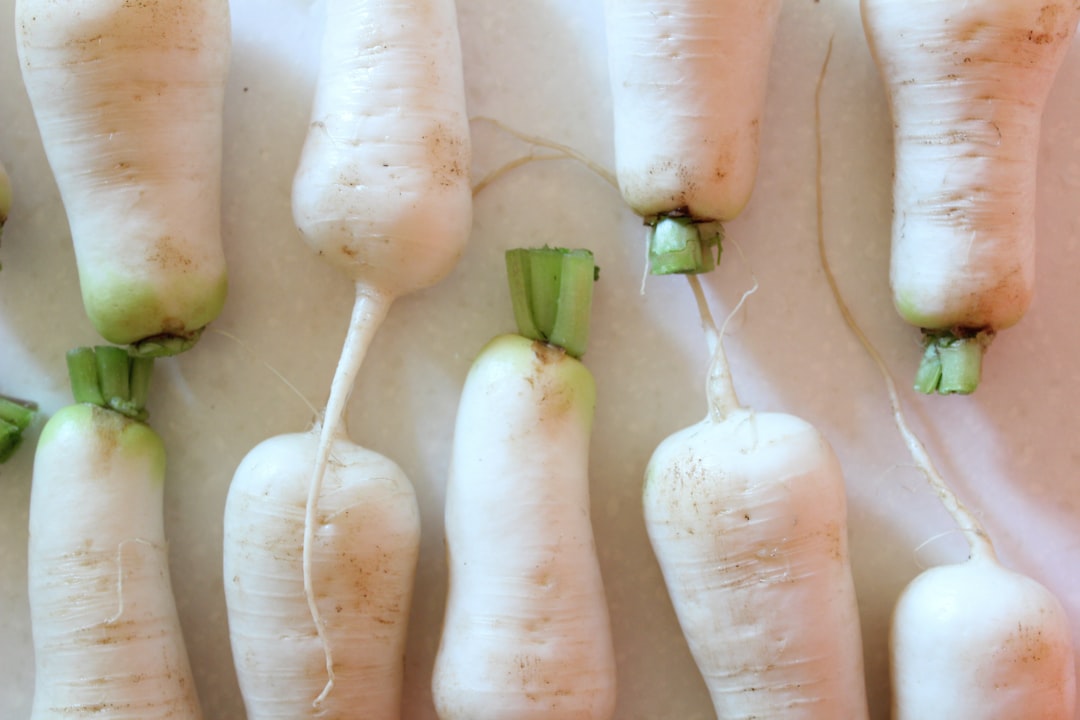 Food Safety: The Hidden Advantage (image credits: unsplash)