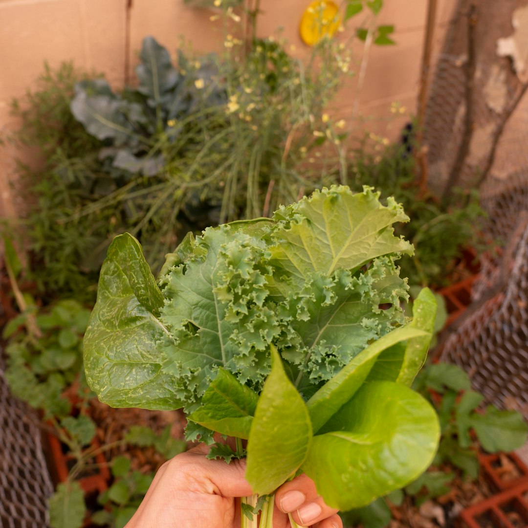 Choosing the Right Vegetables (image credits: unsplash)