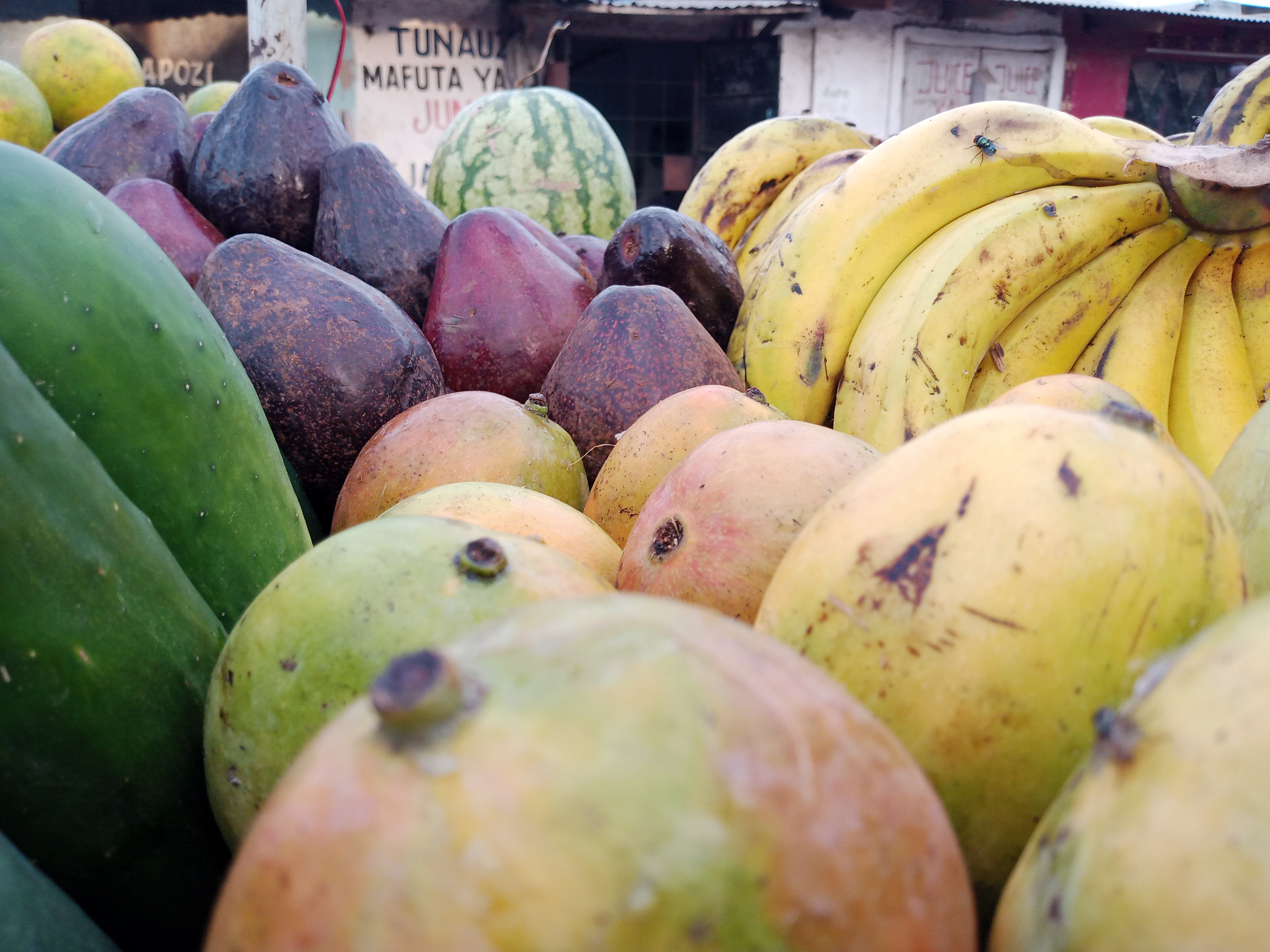 Practical Ways to Add Fruit for Blood Sugar Balance (image credits: wikimedia)