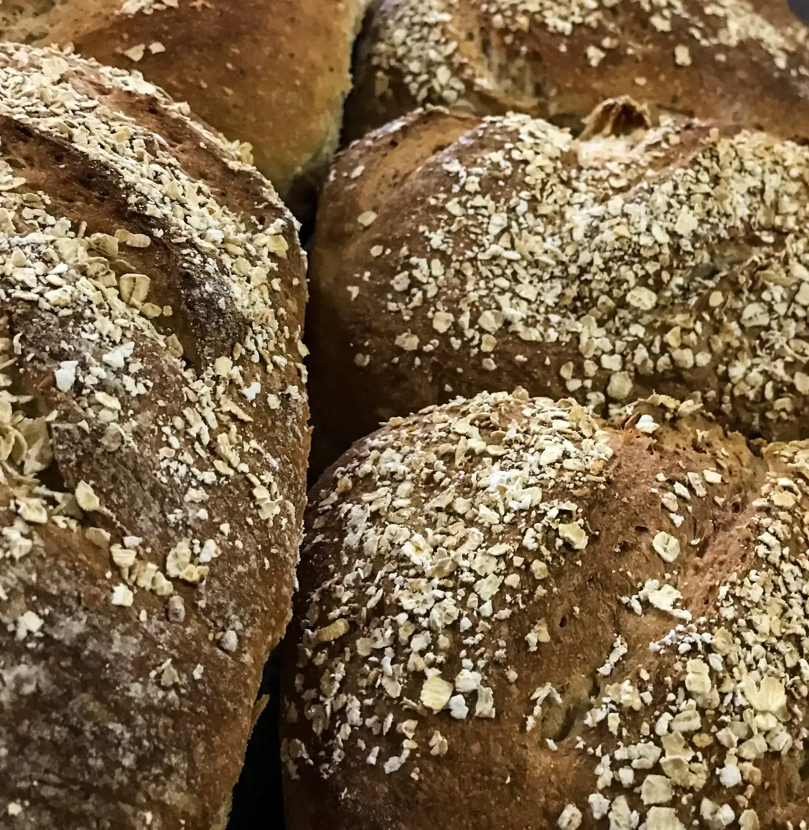 Panera Bread – The End of Fresh-Baked Dough (Image Credits: Wikimedia)