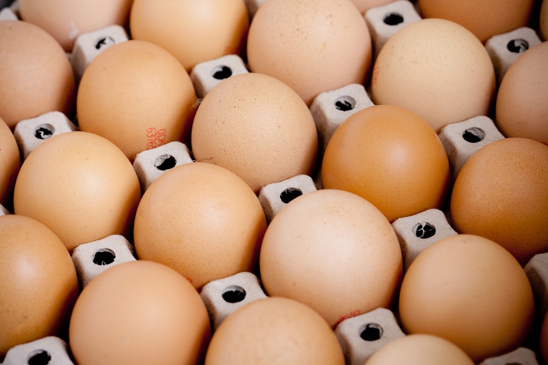 Eggs (image credits: unsplash)