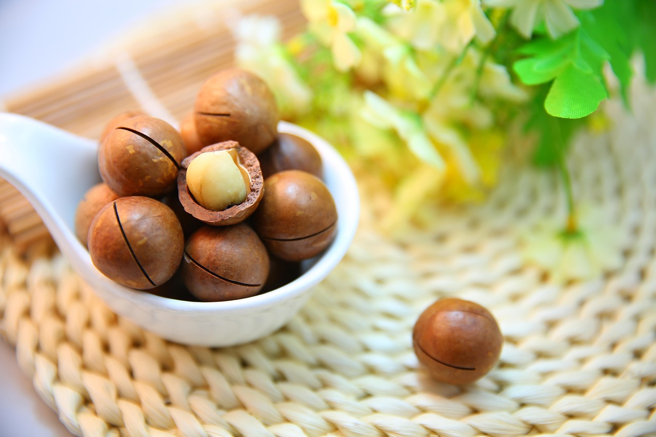 Macadamia Nuts: Delicious but Calorie Dense (image credits: pixabay)