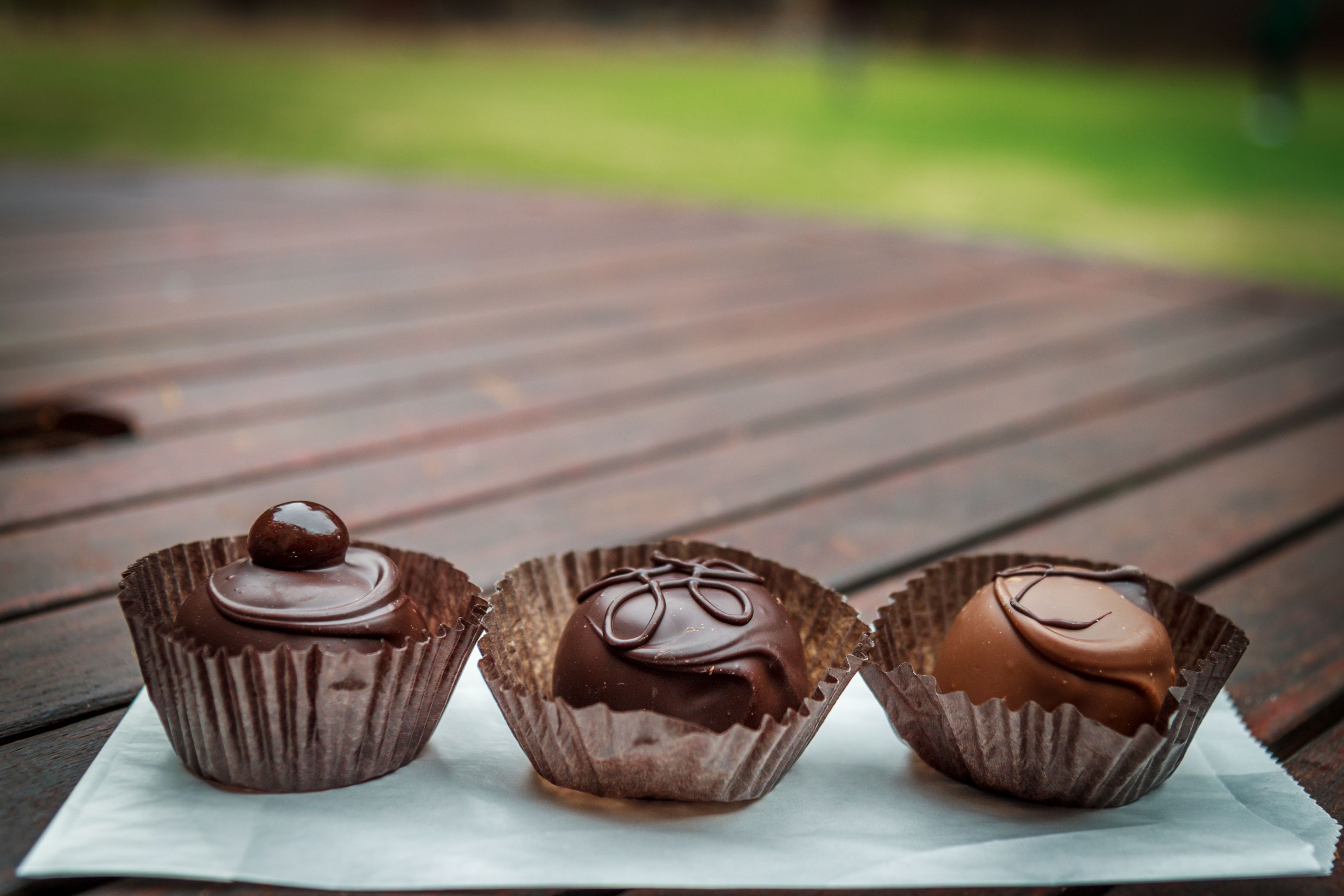 Hormonal Influences on Cravings (image credits: wikimedia)