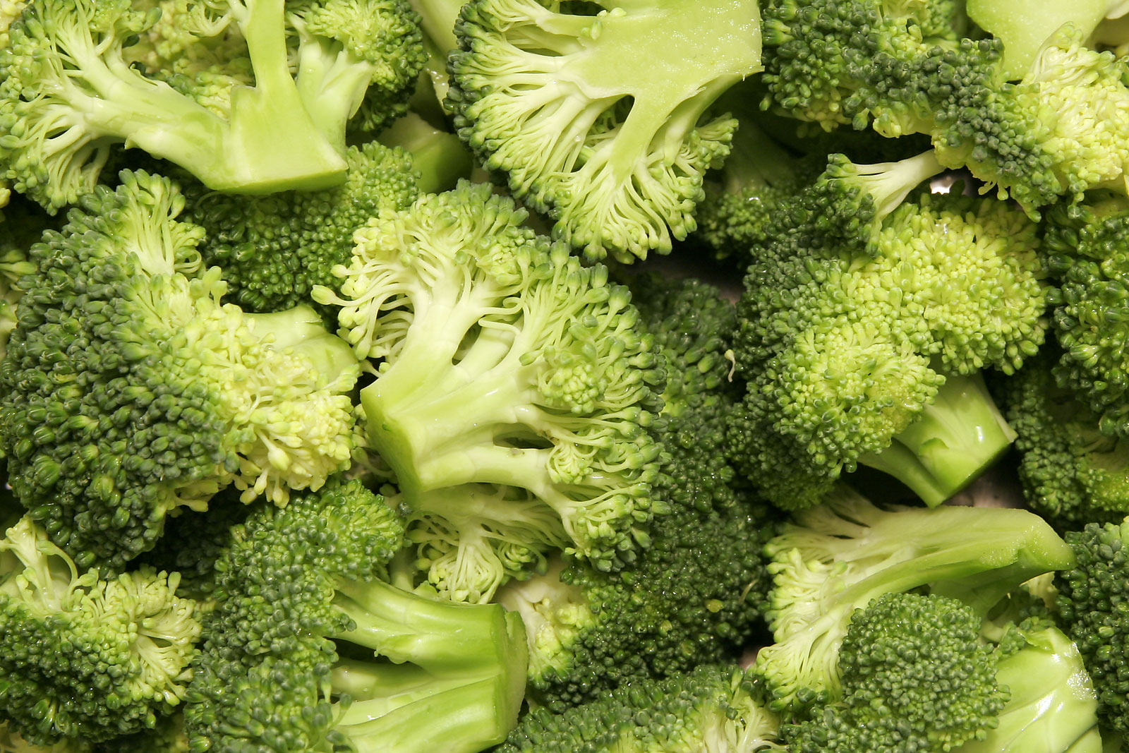 Broccoli: The Cruciferous Champion (image credits: wikimedia)
