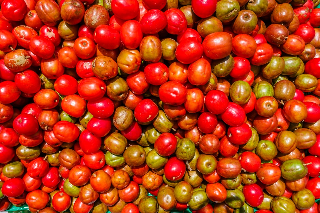 13. The Tomato Tangle: A Juicy Dilemma (image credits: unsplash)