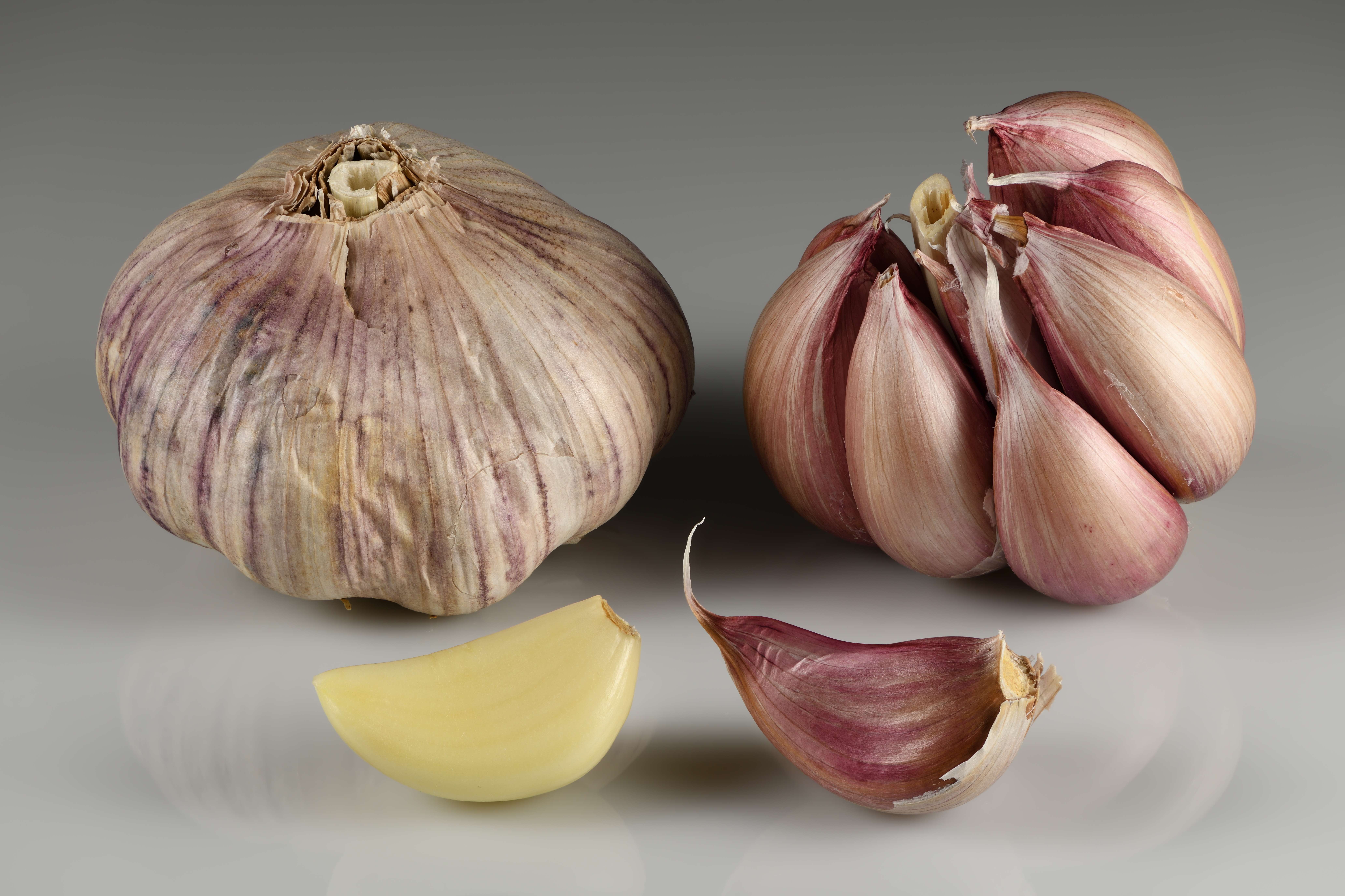 Garlic: The Ancient Infection Fighter (image credits: wikimedia)