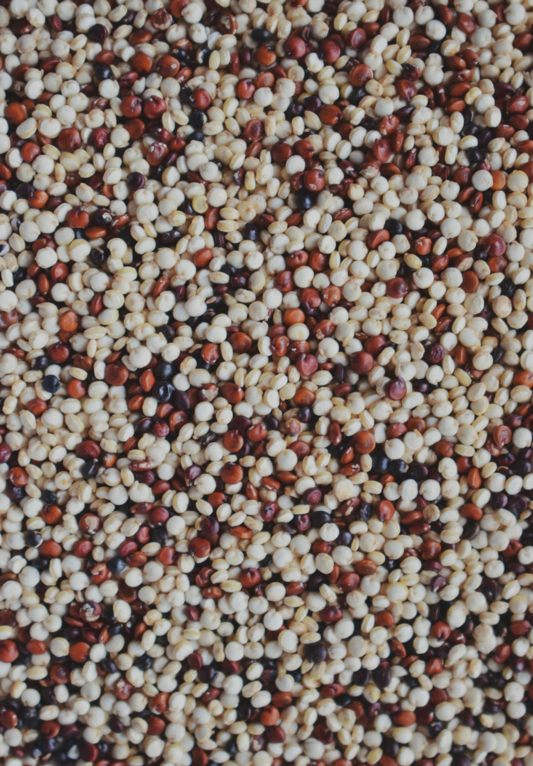 Quinoa: The Superfood Grain (image credits: unsplash)
