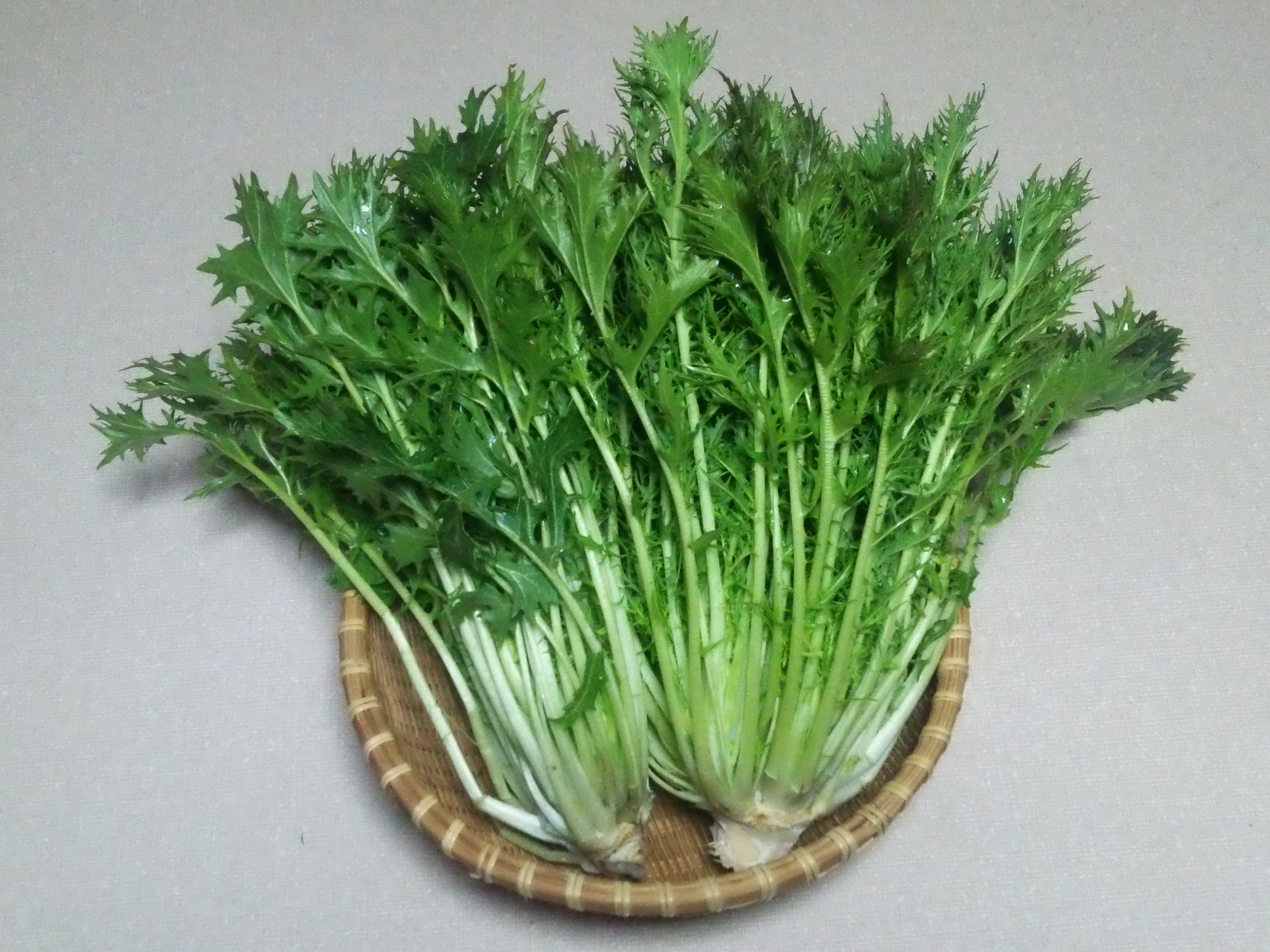 Mizuna (image credits: wikimedia)