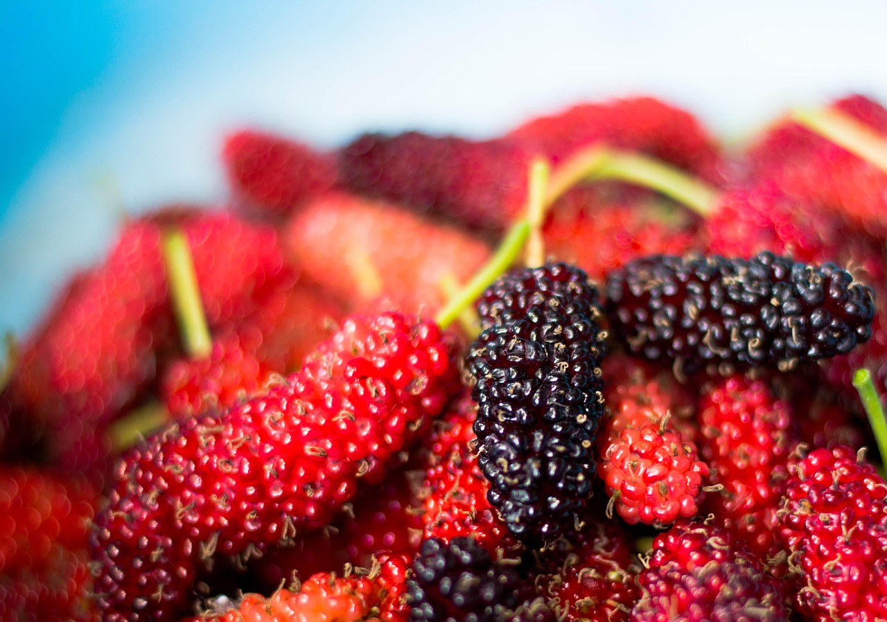 Mulberries: A Forgotten Calcium Champion (image credits: pixabay)