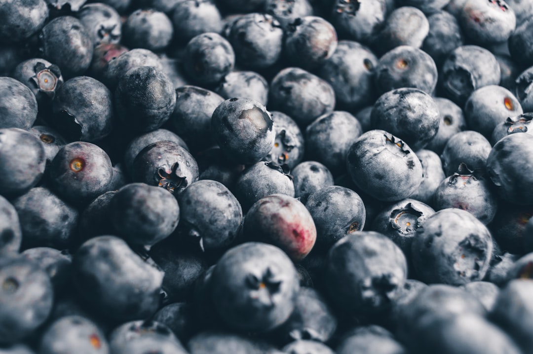 Bilberries and Blueberries Are Anthocyanin Superstars (image credits: unsplash)