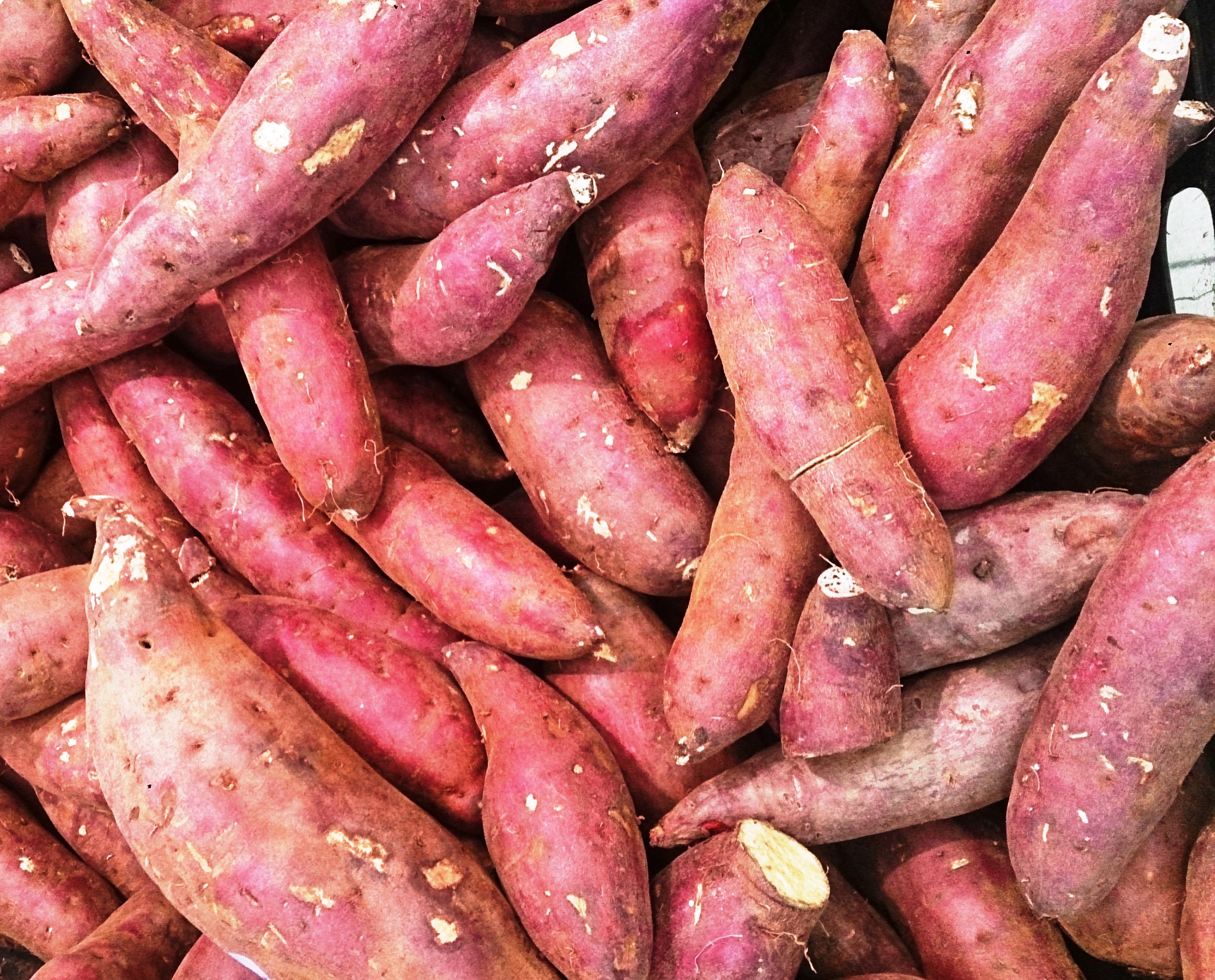 Sweet Potatoes: More Than Just Carbs (image credits: wikimedia)