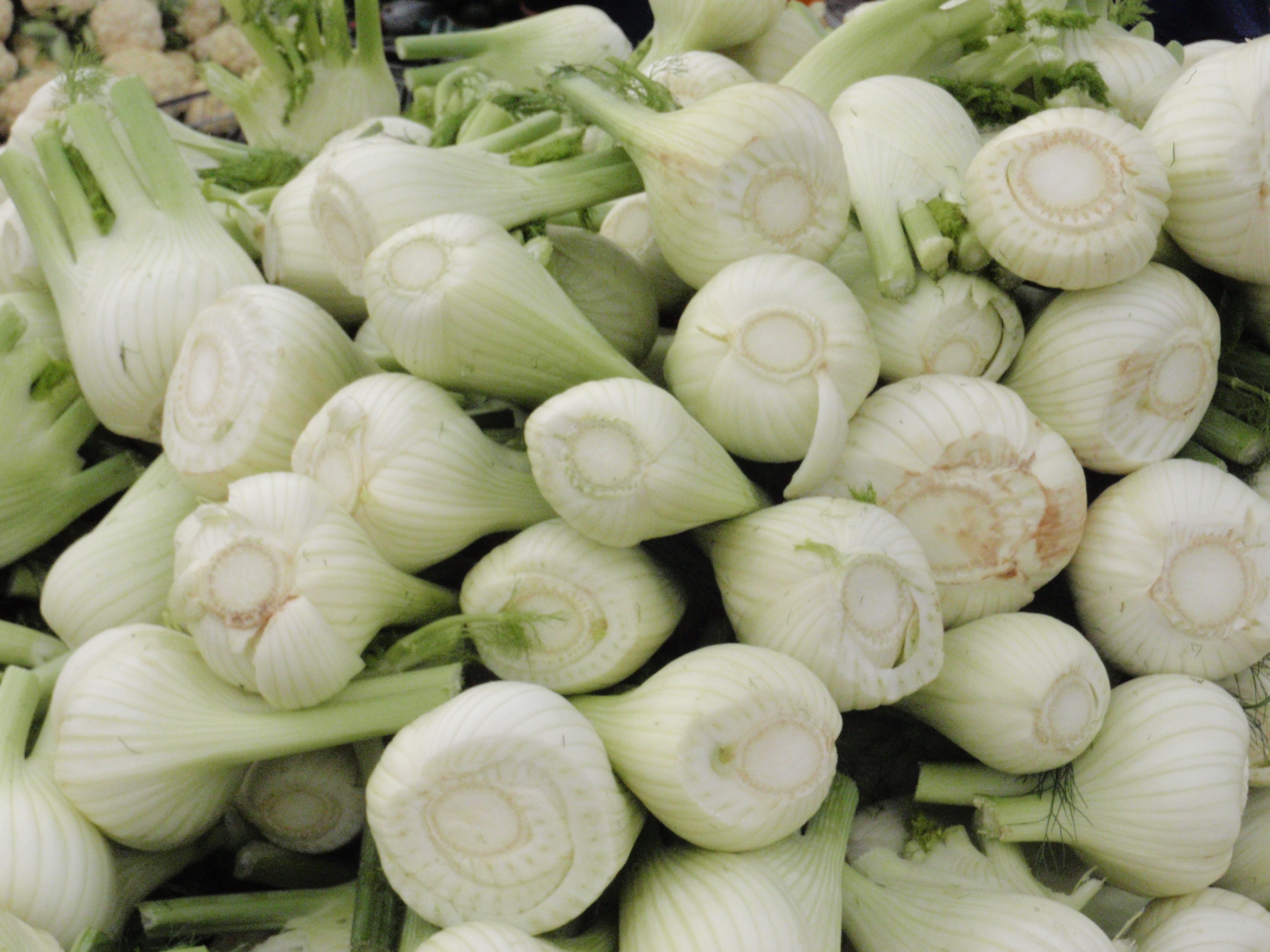 Fennel: The Anise-Flavored Bulb (image credits: wikimedia)