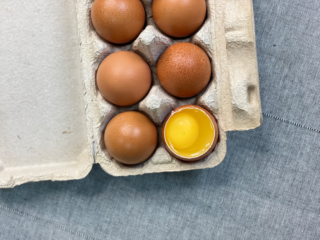 California's Organic Egg Illusion Shattered (image credits: unsplash)