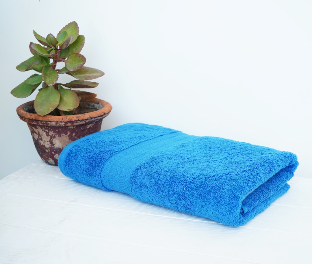 Damp Dish Towels (image credits: unsplash)