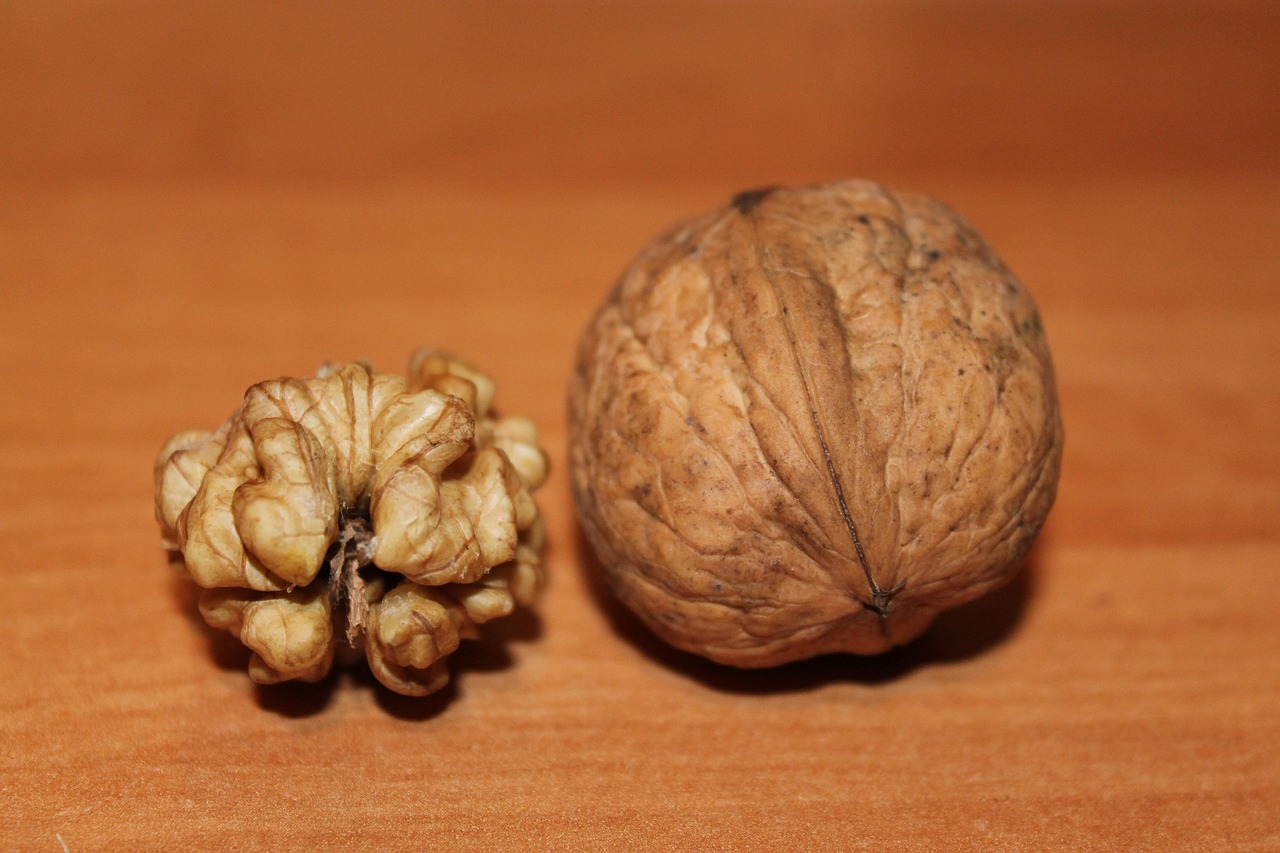 Walnuts: Brain-Shaped and Brain-Saving (image credits: pixabay)
