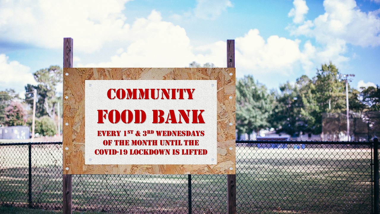 The Rise of Food Banks and Assistance Programs (image credits: pixabay)