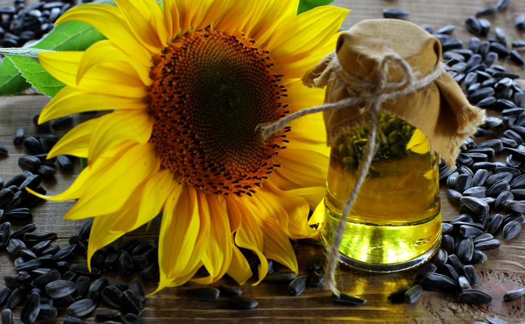 Sunflower Oil (image credits: flickr)