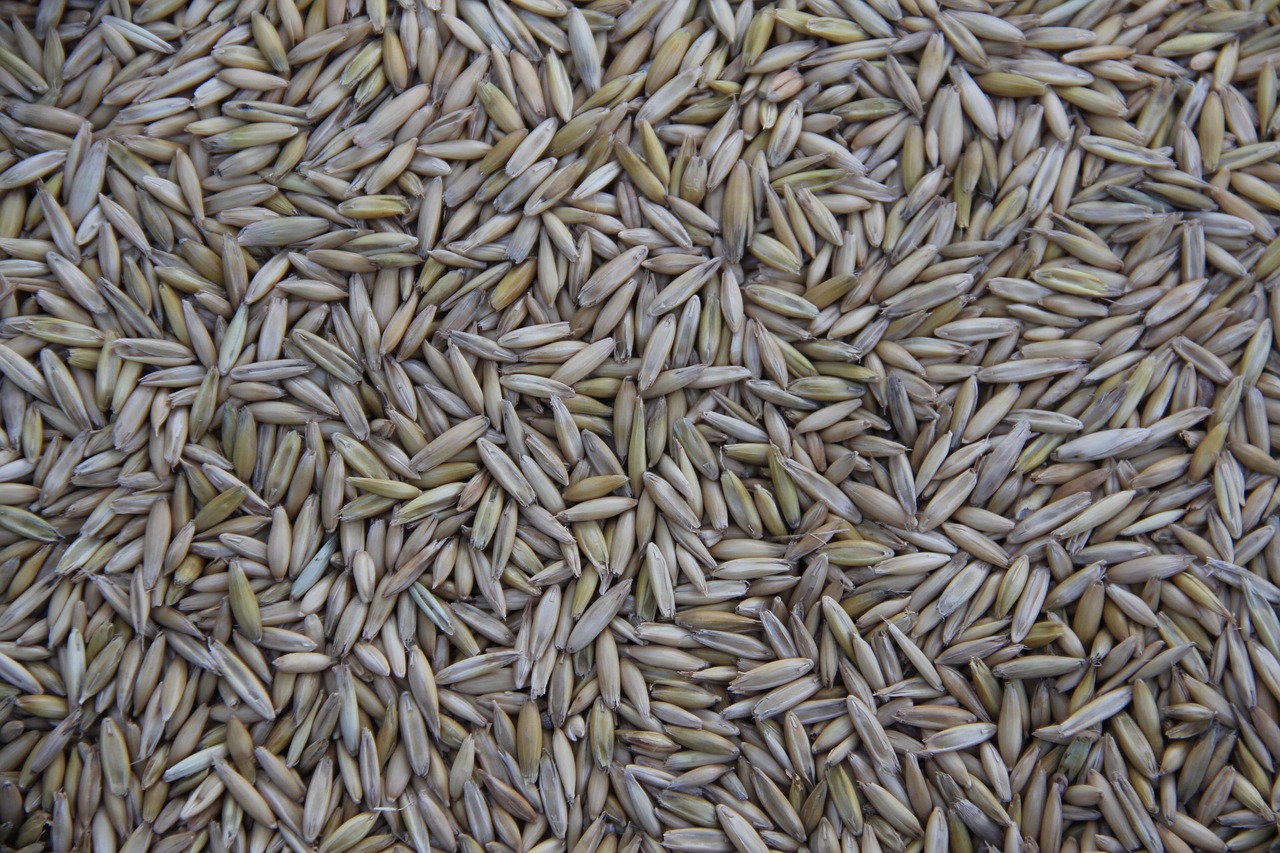 3. Amaranth: The Ancient Grain Making a Modern Comeback (image credits: pixabay)