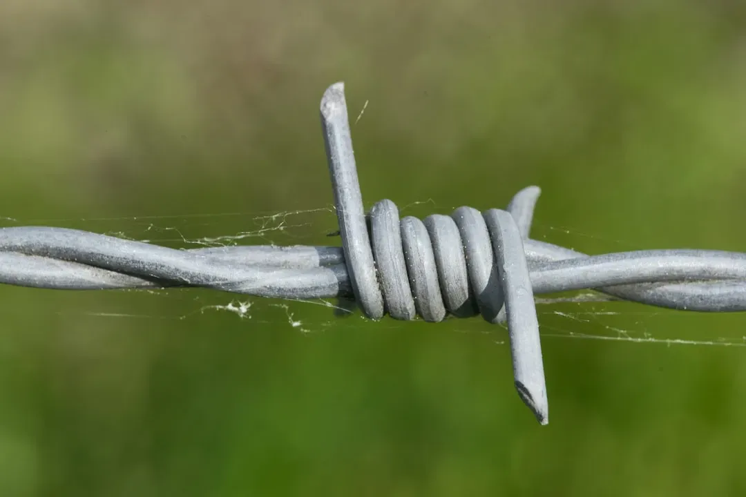 1. Hiding Wire Splices Behind Walls Without Junction Boxes (Image Credits: Unsplash)