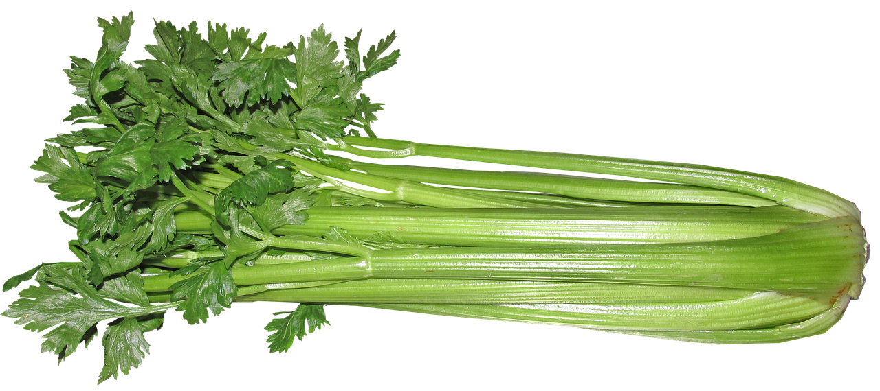 Celery (and Celery Seed): The Unsung Hero of the Veggie Drawer (image credits: pixabay)