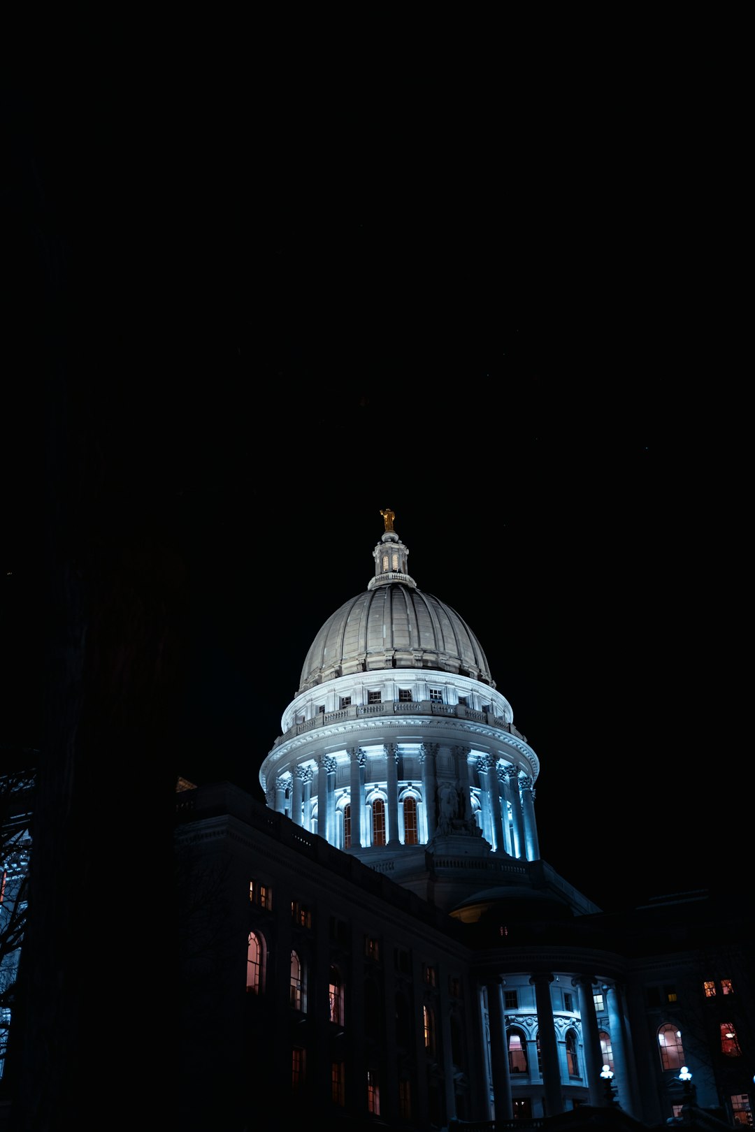 Budget Strains (image credits: unsplash)