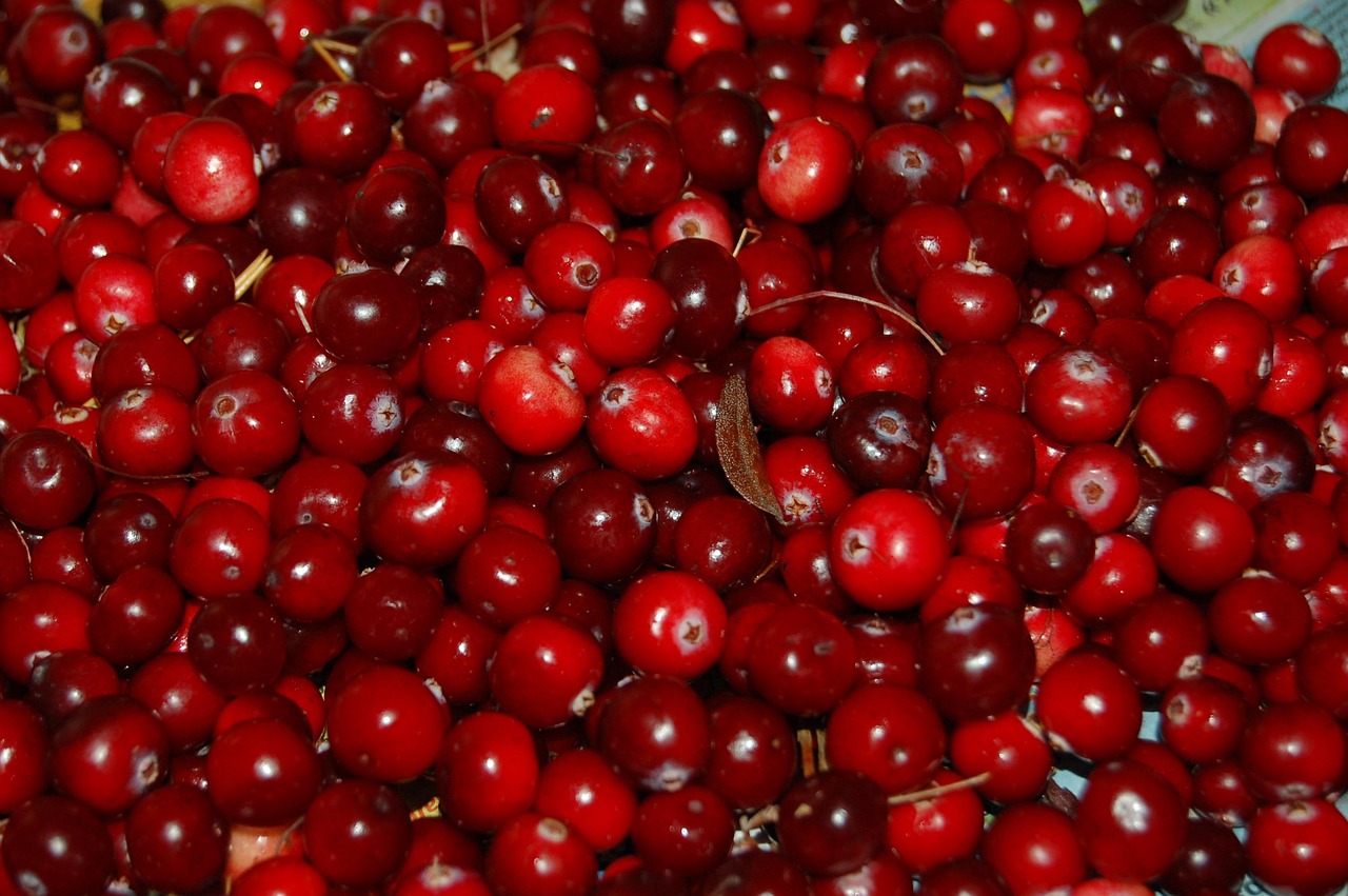 Cranberries - The Tart Titans of Holiday Magic (image credits: pixabay)