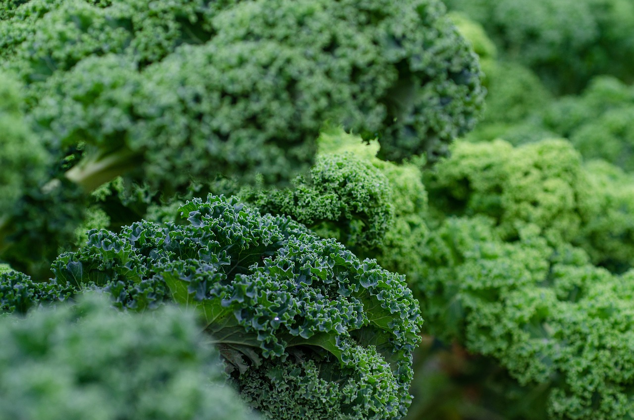 Kale Overload: Are We Eating Too Much? (image credits: pixabay)