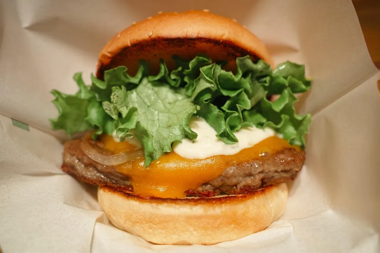 3. Wagyu Burgers: When Premium Beef Becomes Pointless (Image Credits: Pixabay)