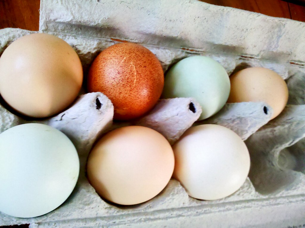 Using Old or Poor Quality Eggs (image credits: flickr)