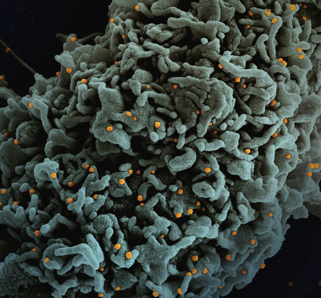 Cancer-Fighting Compounds You Can't Ignore (image credits: unsplash)