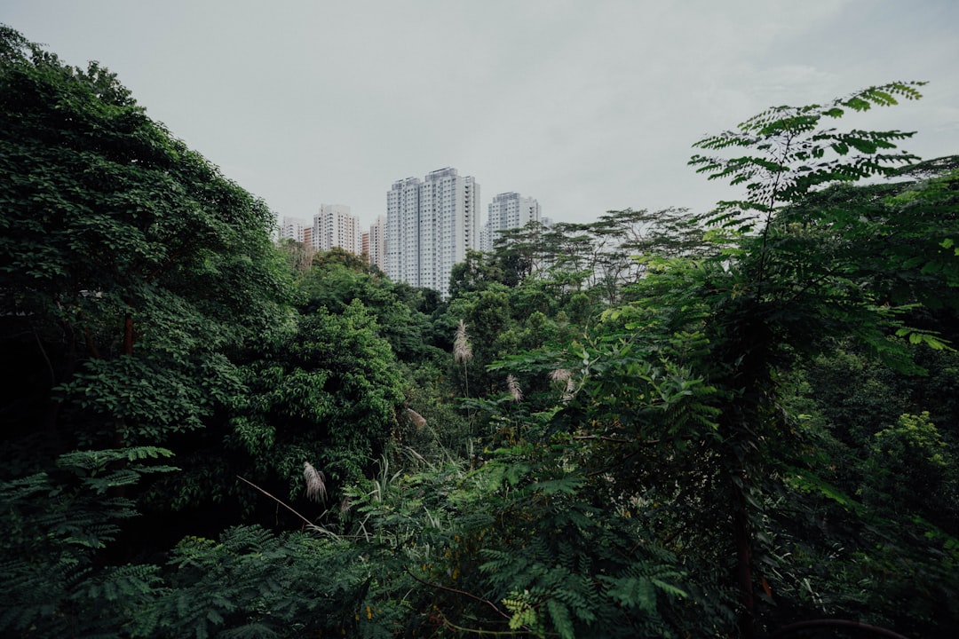 The Science Behind Urban Food Production Potential (image credits: unsplash)