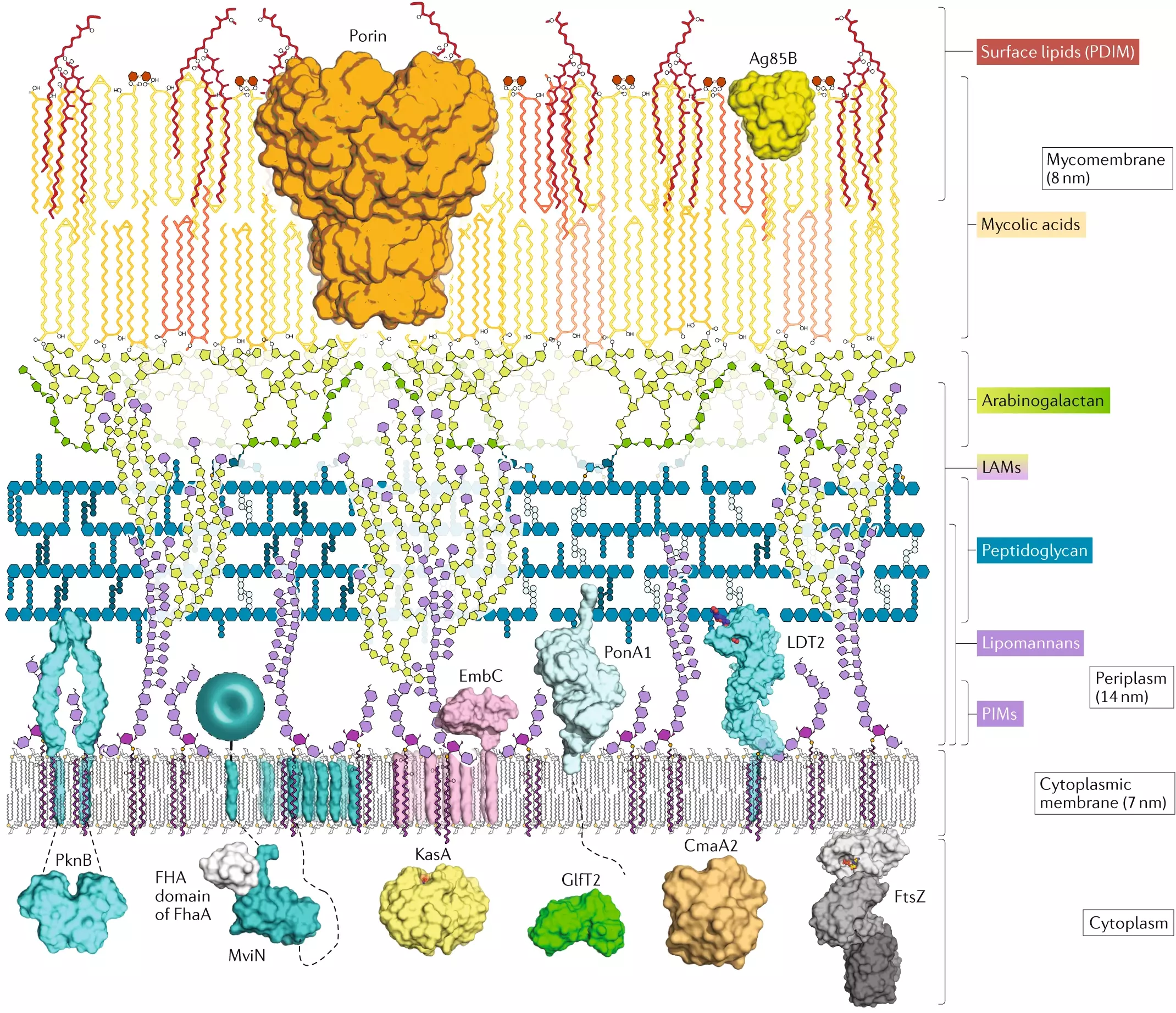 The Environmental Impact: A Positive Change (image credits: wikimedia)